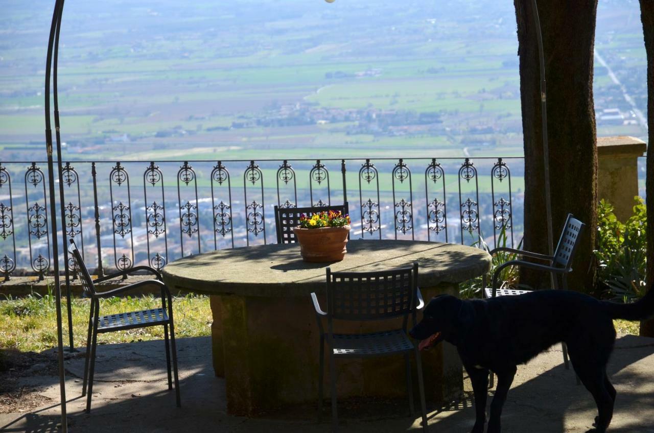 Donnaberarda Daire Cortona Dış mekan fotoğraf